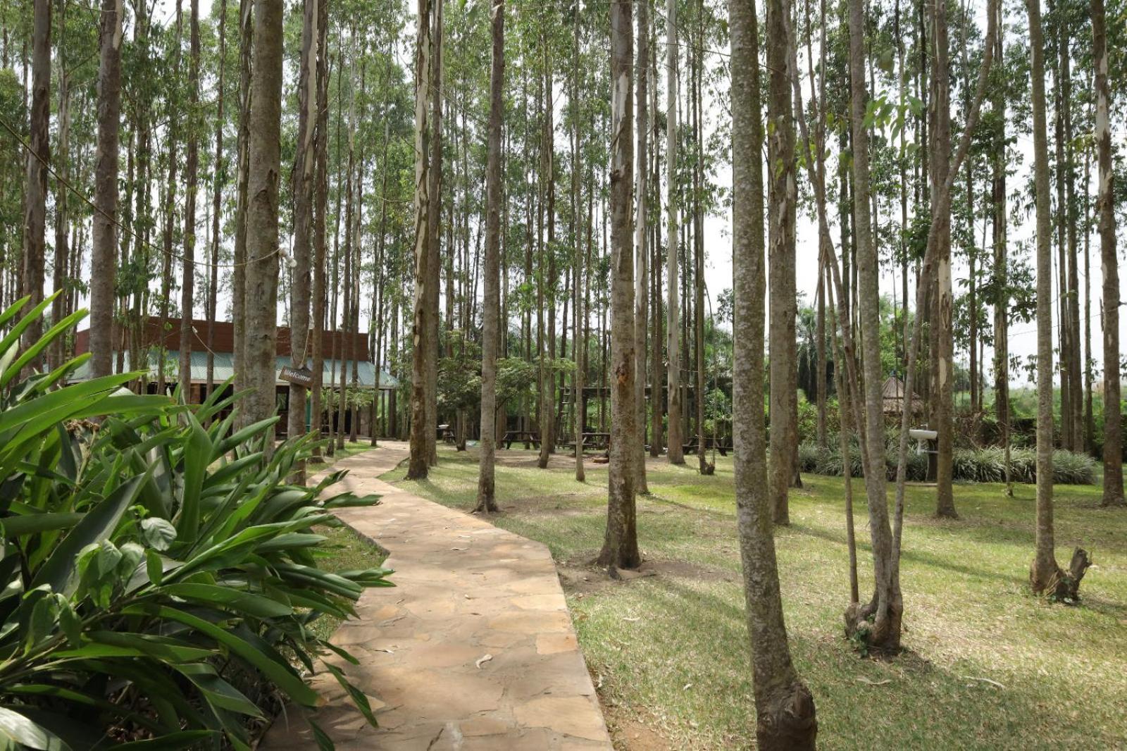 Kabalega Resort - Masindi Екстериор снимка